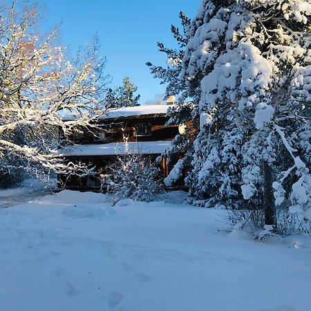 Kibuvitsa Holiday House Muratsi Exterior photo